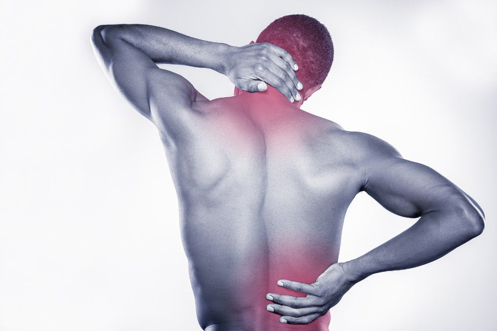 Stronger Joints, Effortless Motion
